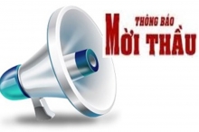 Thẩm định và phê duyệt hồ sơ mời quan tâm, hồ sơ mời thầu, hồ sơ yêu cầu đối với gói thầu dịch vụ tư vấn