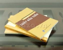 Lớp học đấu thầu theo luật đấu thầu 43 và nghị định 63
