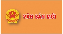 Căn cứ chia dự án thành nhiều gói thầu